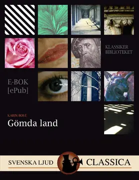 Boye |  Gömda Land | eBook | Sack Fachmedien
