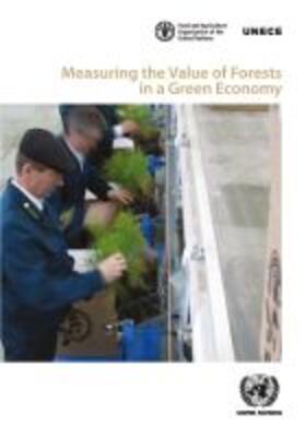 United Nations Economic Commission for Europe | Measuring the Value of Forests in a Green Economy | Buch | 978-92-1-117162-4 | sack.de
