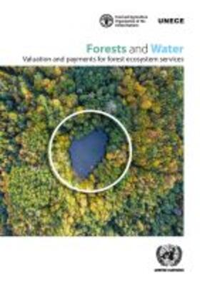 United Nations Economic Commission for Europe | Forests and Water: Valuation and Payments for Forest Ecosystem Services | Buch | 978-92-1-117175-4 | sack.de