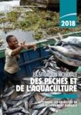 Food and Agriculture Organization of the United Nations |  La Situation Mondiale des P¿es et de l'aquaculture 2018 (SOFIA) | Buch |  Sack Fachmedien