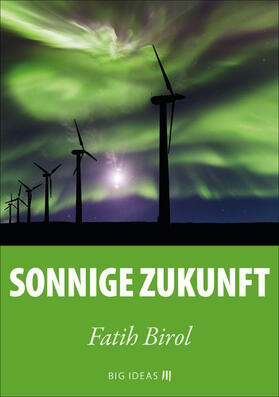 Birol / Investitionsbank | Sonnige Zukunft | E-Book | sack.de