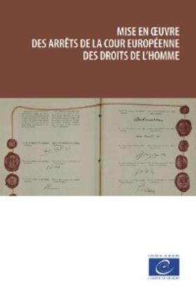 Collective |  Mise en oeuvre des arrêts de la Cour européenne des droits de l'homme | eBook | Sack Fachmedien