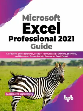 Singh Mehta |  Microsoft Excel Professional 2021 Guide | eBook | Sack Fachmedien