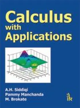 Siddiqi |  Calculus with Applications | Buch |  Sack Fachmedien
