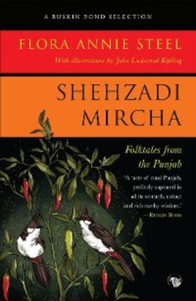 Steel |  Shehzadi Mircha | eBook | Sack Fachmedien