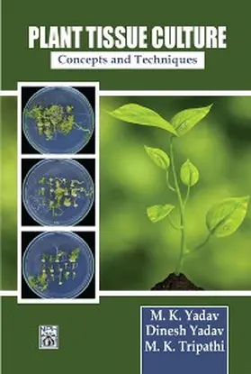 Yadav |  Plant Tissue Culture Concepts And Techniques | eBook | Sack Fachmedien