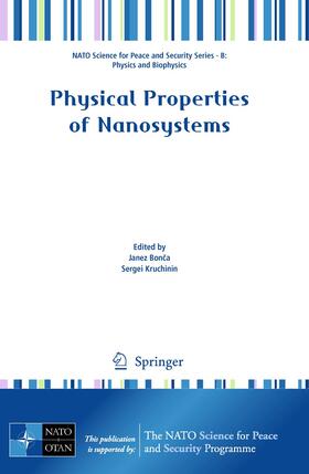 Kruchinin / Bonca |  Physical Properties of Nanosystems | Buch |  Sack Fachmedien