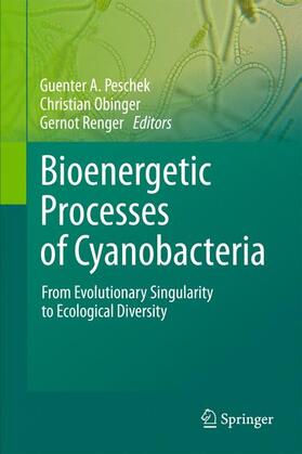 Peschek / Renger / Obinger | Bioenergetic Processes of Cyanobacteria | Buch | 978-94-007-0352-0 | sack.de
