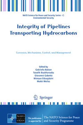 Bolzon / Boukharouba / Gabetta |  Integrity of Pipelines Transporting Hydrocarbons | eBook | Sack Fachmedien
