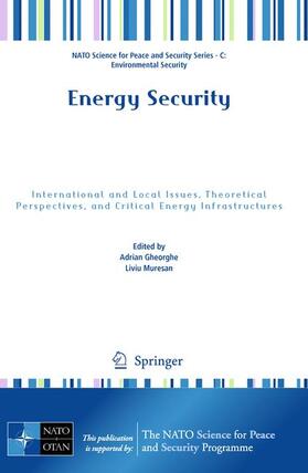 Muresan / Gheorghe | Energy Security | Buch | 978-94-007-0718-4 | sack.de