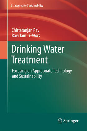 Ray / Jain | Drinking Water Treatment | E-Book | sack.de