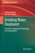 Ray / Jain |  Drinking Water Treatment | eBook | Sack Fachmedien