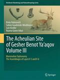 Rabinovich / Goren-Inbar / Gaudzinski-Windheuser |  The Acheulian Site of Gesher Benot  Ya¿aqov  Volume III | Buch |  Sack Fachmedien