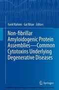 Rahimi / Bitan |  Non-fibrillar Amyloidogenic Protein Assemblies - Common Cytotoxins Underlying Degenerative Diseases | eBook | Sack Fachmedien