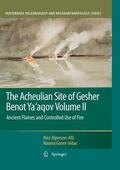 Alperson-Afil / Goren-Inbar |  The Acheulian Site of Gesher Benot Ya'aqov Volume II | Buch |  Sack Fachmedien