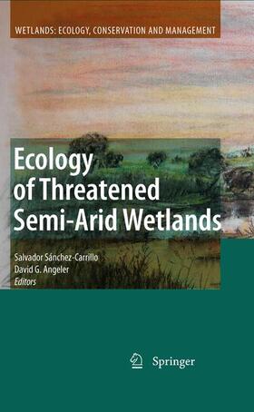 Sánchez-Carrillo / Angeler | Ecology of Threatened Semi-Arid Wetlands | Buch | 978-94-007-3289-6 | sack.de
