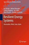 Bostan / Gheorghe / Sochirean |  Resilient Energy Systems | Buch |  Sack Fachmedien