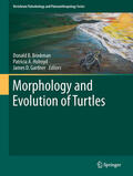 Brinkman / Holroyd / Gardner |  Morphology and Evolution of Turtles | eBook | Sack Fachmedien