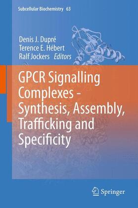 Dupré / Jockers / Hébert | GPCR Signalling Complexes ¿ Synthesis, Assembly, Trafficking and Specificity | Buch | 978-94-007-4764-7 | sack.de