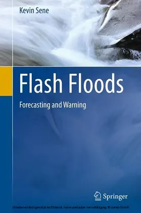 Sene |  Flash Floods | eBook | Sack Fachmedien