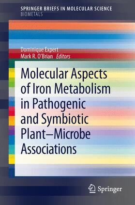 O'Brian / Expert |  Molecular Aspects of Iron Metabolism in Pathogenic and Symbiotic Plant-Microbe Associations | Buch |  Sack Fachmedien