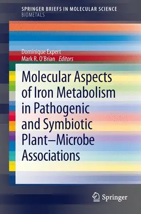 O'Brian / Expert |  Molecular Aspects of Iron Metabolism in Pathogenic and Symbiotic Plant-Microbe Associations | Buch |  Sack Fachmedien