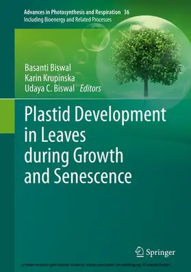 Biswal / Krupinska |  Plastid Development in Leaves during Growth and Senescence | eBook | Sack Fachmedien