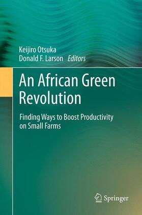 Larson / Otsuka | An African Green Revolution | Buch | 978-94-007-5759-2 | sack.de