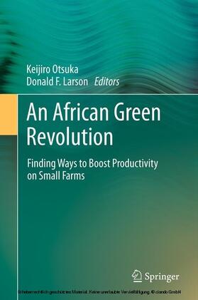 Otsuka / Larson |  An African Green Revolution | eBook | Sack Fachmedien