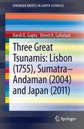 Gahalaut / Gupta |  Three Great Tsunamis: Lisbon (1755), Sumatra-Andaman (2004) and Japan (2011) | Buch |  Sack Fachmedien