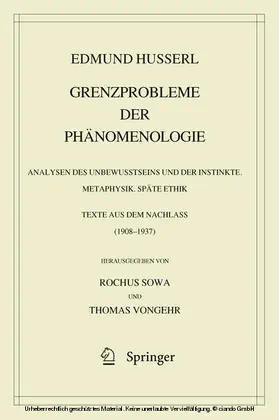 Husserl / Sowa / Vongehr |  Grenzprobleme der Phänomenologie | eBook | Sack Fachmedien