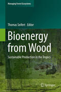 Seifert |  Bioenergy from Wood | eBook | Sack Fachmedien