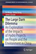 Wang / Lassoie / Dong |  The Large Dam Dilemma | Buch |  Sack Fachmedien