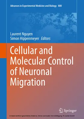 Nguyen / Hippenmeyer | Cellular and Molecular Control of Neuronal Migration | E-Book | www.sack.de