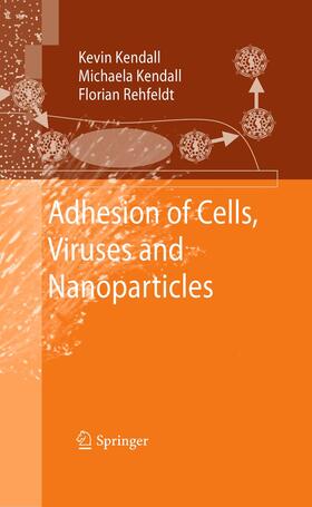 Kendall / Rehfeldt | Adhesion of Cells, Viruses and Nanoparticles | Buch | 978-94-007-9049-0 | sack.de