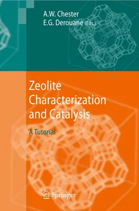 Derouane / Chester | Zeolite Characterization and Catalysis | Buch | 978-94-007-9095-7 | www.sack.de