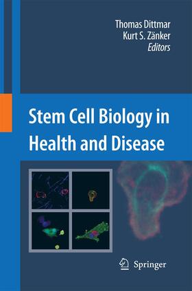 Zänker / Dittmar | Stem Cell Biology in Health and Disease | Buch | 978-94-007-9113-8 | sack.de