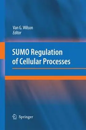 Wilson | SUMO Regulation of Cellular Processes | Buch | 978-94-007-9144-2 | www.sack.de