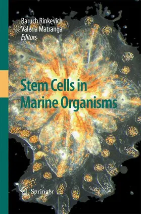 Rinkevich / Matranga |  Stem Cells in Marine Organisms | Buch |  Sack Fachmedien
