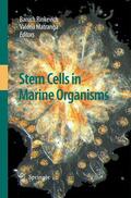 Matranga / Rinkevich |  Stem Cells in Marine Organisms | Buch |  Sack Fachmedien