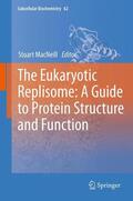 MacNeill |  The Eukaryotic Replisome: a Guide to Protein Structure and Function | Buch |  Sack Fachmedien
