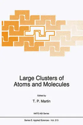 Martin | Large Clusters of Atoms and Molecules | E-Book | sack.de