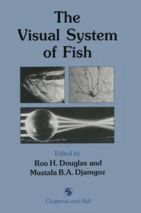 Douglas / Djamgoz |  The Visual System of Fish | eBook | Sack Fachmedien