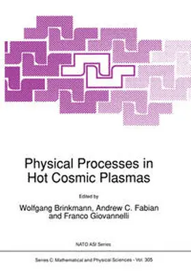 Brinkmann / Fabian / Giovannelli |  Physical Processes in Hot Cosmic Plasmas | eBook | Sack Fachmedien