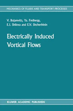 Bojarevi°s / Freibergs / Shilova |  Electrically Induced Vortical Flows | eBook | Sack Fachmedien