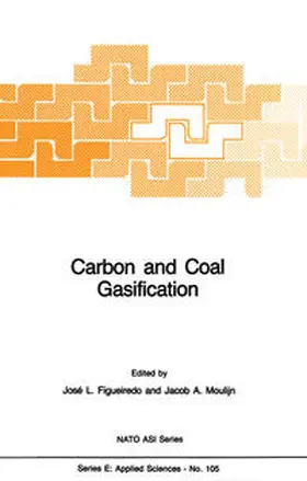 Figueiredo / Moulijn |  Carbon and Coal Gasification | eBook | Sack Fachmedien
