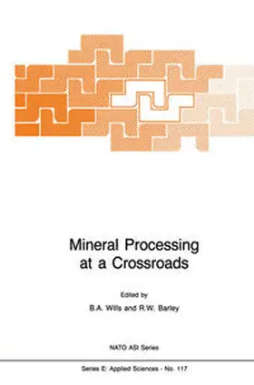 Wills / Barley |  Mineral Processing at a Crossroads | eBook | Sack Fachmedien