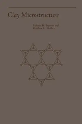 Bennett / Hulbert |  Clay Microstructure | eBook | Sack Fachmedien