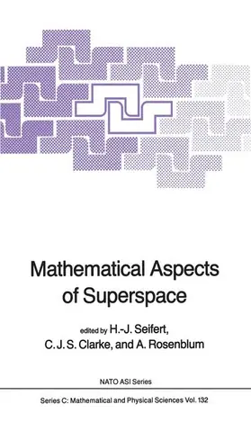 Seifert / Rosenblum / Clarke | Mathematical Aspects of Superspace | Buch | 978-94-009-6448-8 | sack.de