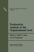 Dogramaci / Adam |  Productivity Analysis at the Organizational Level | Buch |  Sack Fachmedien